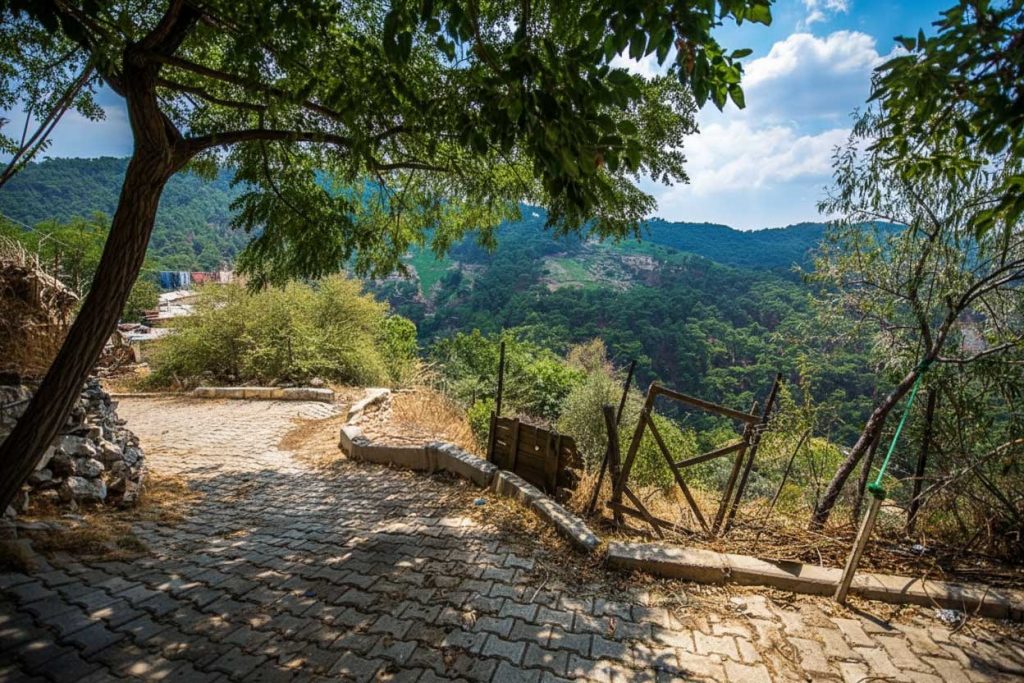 Kavacık Köyü