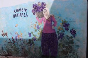 Kavacık